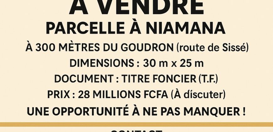 Terrain en titre foncier à vendre – Niamana, Grabal
