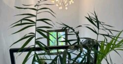 Location Villa meublé à la Cité Yeleen Location Villa meublé à la Cité Yeleen