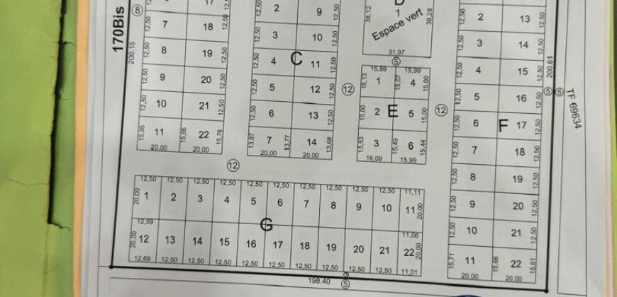 Parcelle de 250 m² en titre foncier à vendre – Gouana, près de l&rsquo;université de Kabala