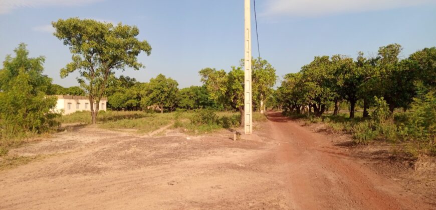 Terrain d&rsquo;angle de 300 m² en titre foncier à vendre – Samanko, près de Sébénikoro