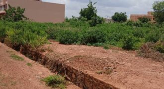 À VENDRE – TERRAIN DE 1000 m² AU BORD DU GOUDRON À KABALA