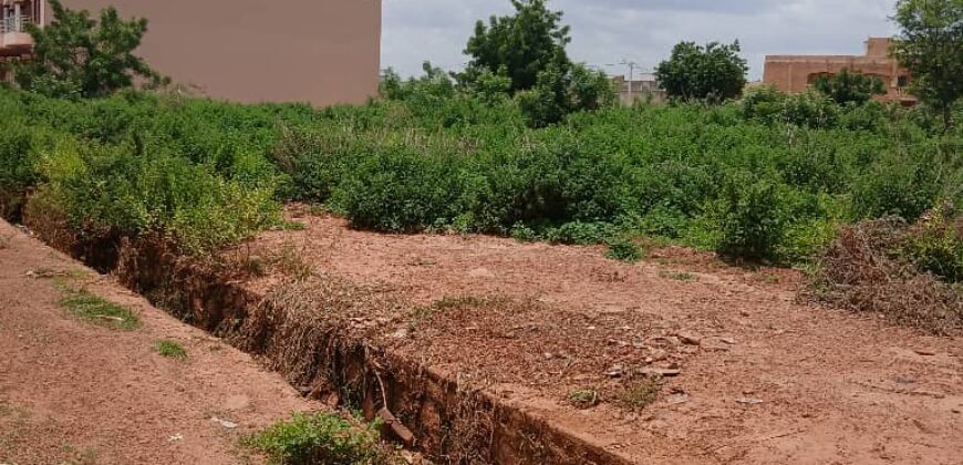 À VENDRE – TERRAIN DE 1000 m² AU BORD DU GOUDRON À KABALA