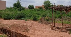 À VENDRE – TERRAIN DE 1000 m² AU BORD DU GOUDRON À KABALA À VENDRE – TERRAIN DE 1000 m² AU BORD DU GOUDRON À KABALA