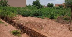 À VENDRE – TERRAIN DE 1000 m² AU BORD DU GOUDRON À KABALA À VENDRE – TERRAIN DE 1000 m² AU BORD DU GOUDRON À KABALA