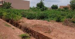 Terrain de 1.000 m² au bord du goudron à vendre – Kabala Terrain de 1.000 m² au bord du goudron à vendre – Kabala