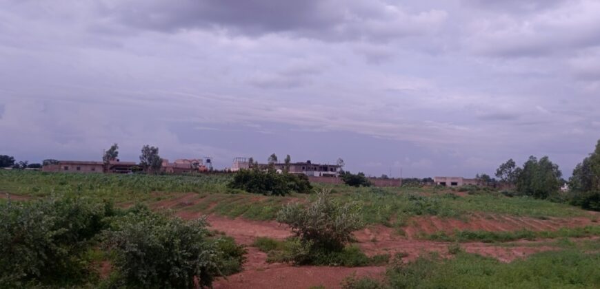 À VENDRE : 5 lots collés en titre foncier à Banankoroni