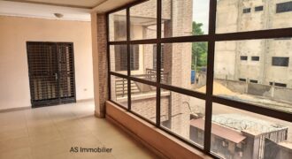 Appartement meublé de 2 chambres à louer à Badalabougou