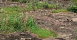 06 Titres Fonciers Individuel/Foura Tienfala – /Koulikoro, Mali 06 Titres Fonciers Individuel/Foura Tienfala – /Koulikoro, Mali