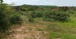 06 Titres Fonciers Individuel/Foura Tienfala – /Koulikoro, Mali 06 Titres Fonciers Individuel/Foura Tienfala – /Koulikoro, Mali