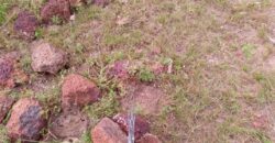 🏡 TITRE FONCIER DISPONIBLE ! 🏡 Terrain de 12,5 x 20 m à Banankoroni 🏡 TITRE FONCIER DISPONIBLE ! 🏡 Terrain de 12,5 x 20 m à Banankoroni