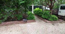 Villa avec piscine à louer à l’hippodrome Villa avec piscine à louer à l’hippodrome