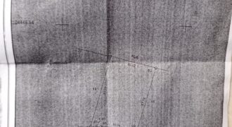 Terrain à vendre à la cité du Niger