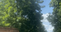 VENDRE À NIAMANA TERRAIN 30/25 ( 18 MILLIONS FCFA) VENDRE À NIAMANA TERRAIN 30/25 ( 18 MILLIONS FCFA)