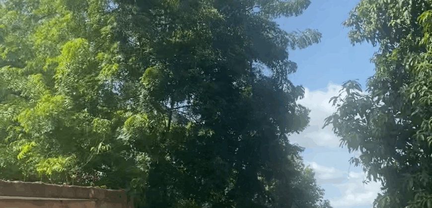 VENDRE À NIAMANA TERRAIN 30/25 ( 18 MILLIONS FCFA)