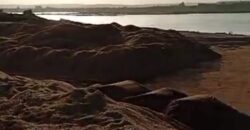 🌿 Champ de 1 Hectare avec Titre Foncier à Vendre – Kayo 🌿 🌿 Champ de 1 Hectare avec Titre Foncier à Vendre – Kayo 🌿