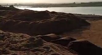 🌿 Champ de 1 Hectare avec Titre Foncier à Vendre – Kayo 🌿