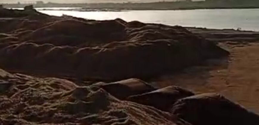 🌿 Champ de 1 Hectare avec Titre Foncier à Vendre – Kayo 🌿