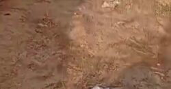 🌿 Champ de 1 Hectare avec Titre Foncier à Vendre – Kayo 🌿 🌿 Champ de 1 Hectare avec Titre Foncier à Vendre – Kayo 🌿