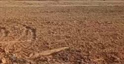 🌿 Champ de 1 Hectare avec Titre Foncier à Vendre – Kayo 🌿 🌿 Champ de 1 Hectare avec Titre Foncier à Vendre – Kayo 🌿