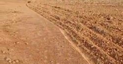 🌿 Champ de 1 Hectare avec Titre Foncier à Vendre – Kayo 🌿 🌿 Champ de 1 Hectare avec Titre Foncier à Vendre – Kayo 🌿