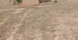 🌿 Champ de 5 Hectares avec Titre Foncier à Vendre – Kassela 🌿 🌿 Champ de 5 Hectares avec Titre Foncier à Vendre – Kassela 🌿