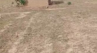 🌿 Champ de 5 Hectares avec Titre Foncier à Vendre – Kassela 🌿