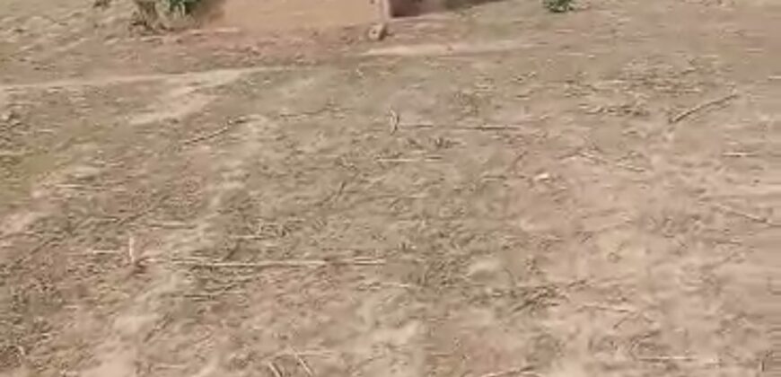 🌿 Champ de 5 Hectares avec Titre Foncier à Vendre – Kassela 🌿