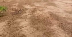 🌿 Champ de 5 Hectares avec Titre Foncier à Vendre – Kassela 🌿 🌿 Champ de 5 Hectares avec Titre Foncier à Vendre – Kassela 🌿