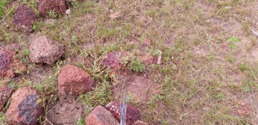Terrain de 250 m² en titre foncier à vendre – Banankoroni, à 2 km du goudron