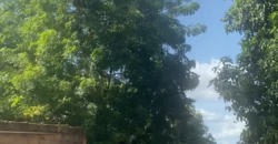 Terrain de 750 m² à vendre – Niamana, à 300 m de la voie principale Terrain de 750 m² à vendre – Niamana, à 300 m de la voie principale