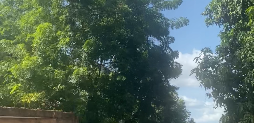 Terrain de 750 m² à vendre – Niamana, à 300 m de la voie principale