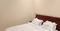 Appartement meublé de 1 chambre à louer à Koulouba Appartement meublé de 1 chambre à louer à Koulouba