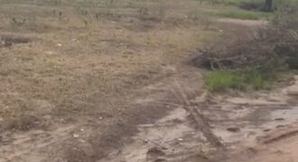 Terrain à vendre Diatoula