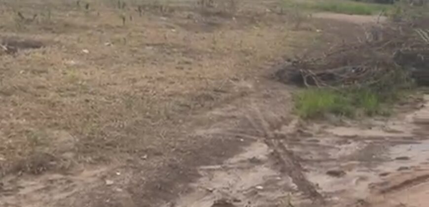 Terrain à vendre Diatoula