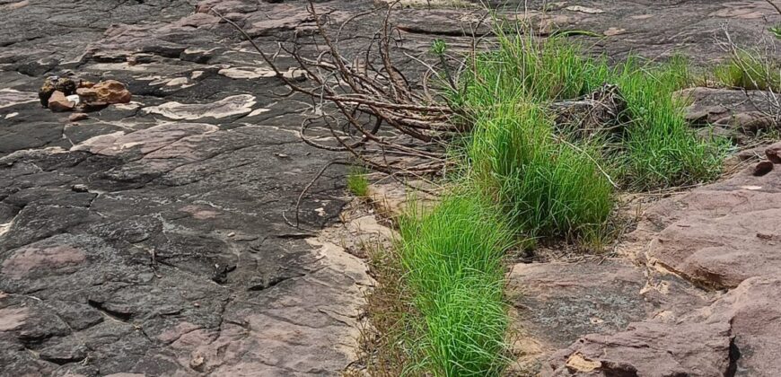 06 LOTS Collés-Foura Tienfala – /Koulikoro, Mali