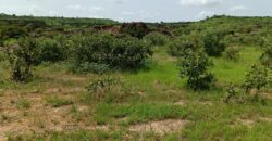 06 LOTS Collés-Foura Tienfala – /Koulikoro, Mali 06 LOTS Collés-Foura Tienfala – /Koulikoro, Mali