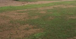 Terrain à Vendre à DIATOULA -Cité de la paix en angle Terrain à Vendre à DIATOULA -Cité de la paix en angle