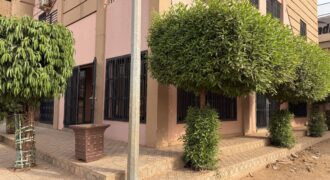 Grand magasin avec bureau à louer – Siracoro, Cité BMS