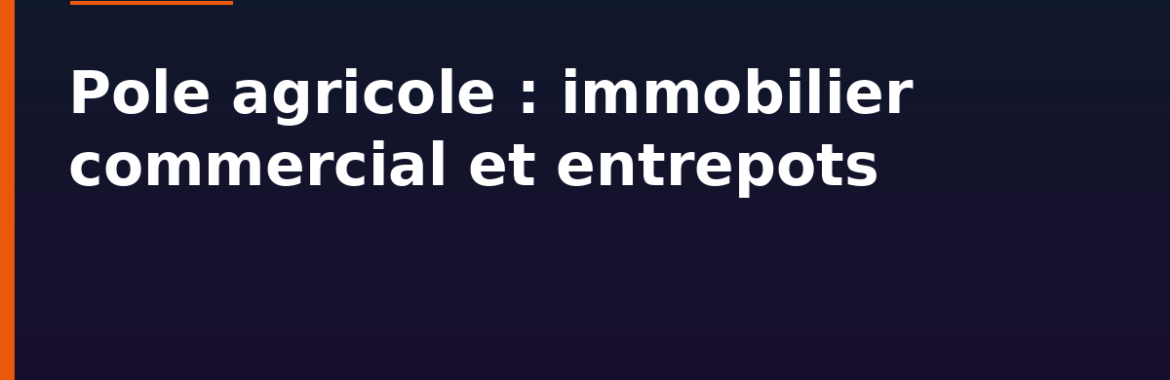 Sikasso, pôle agricole : immobilier commercial et entrepôts