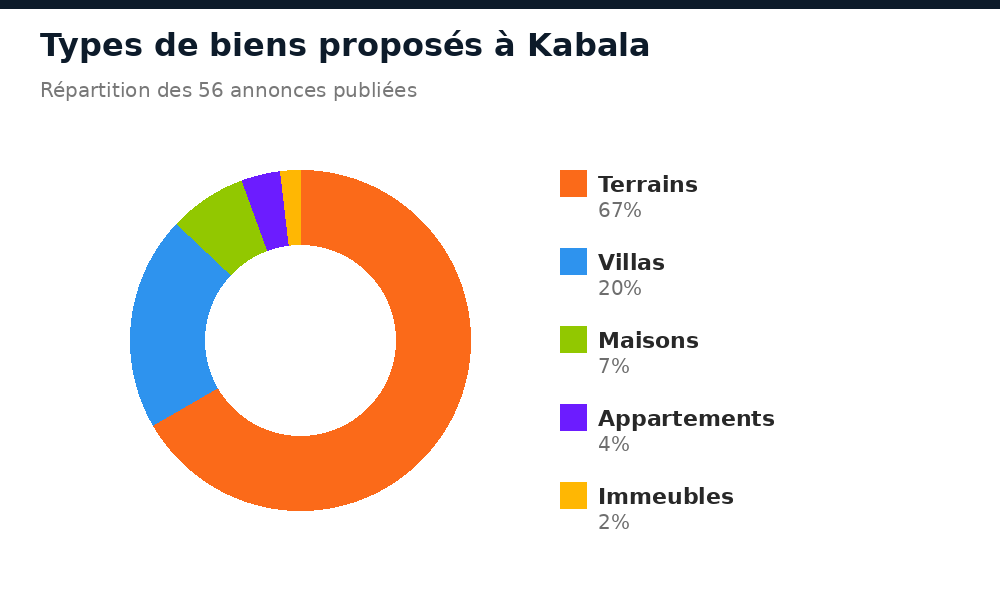 Répartition des types de biens proposés à Kabala