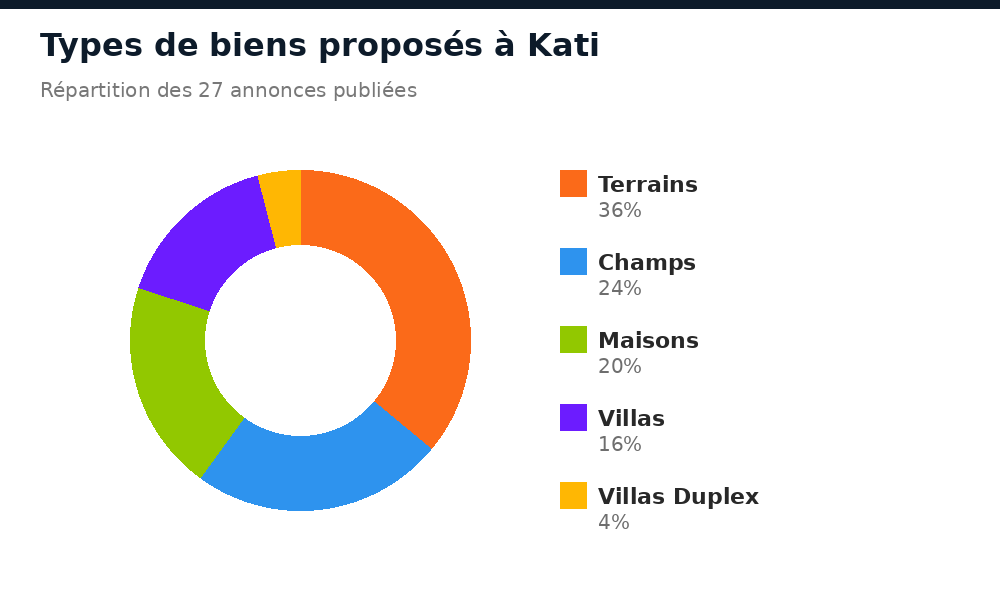 Répartition des types de biens proposés à Kati