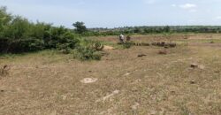 Terrain 300 m² à vendre – Safo, Koulikoro Terrain 300 m² à vendre – Safo, Koulikoro