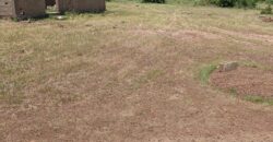 Terrain 300 m² à vendre – Safo, Koulikoro Terrain 300 m² à vendre – Safo, Koulikoro