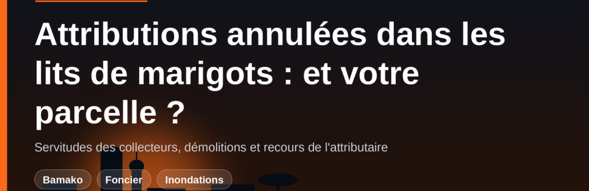 Attributions annulées dans les lits de marigots à Bamako : comment savoir si votre parcelle est concernée