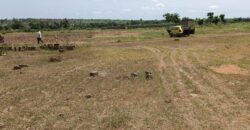 Terrain 300 m² à vendre – Safo, Koulikoro Terrain 300 m² à vendre – Safo, Koulikoro