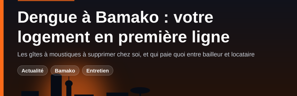 Dengue à Bamako : votre logement en première ligne — les gîtes à moustiques à supprimer chez soi