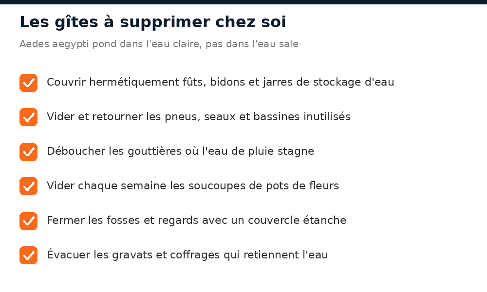 Fûts d'eau, pneus, gouttières et soucoupes : les gîtes larvaires à supprimer chez soi
